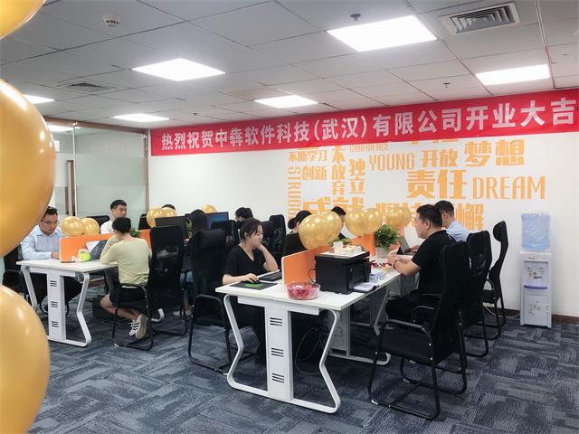 013-武汉APP开发公司.jpg